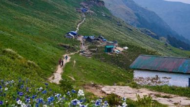 rudranath trek 2025